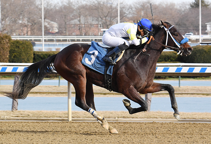 Sixto wins a Jan. 30 maiden race at Aqueduct Racetrack