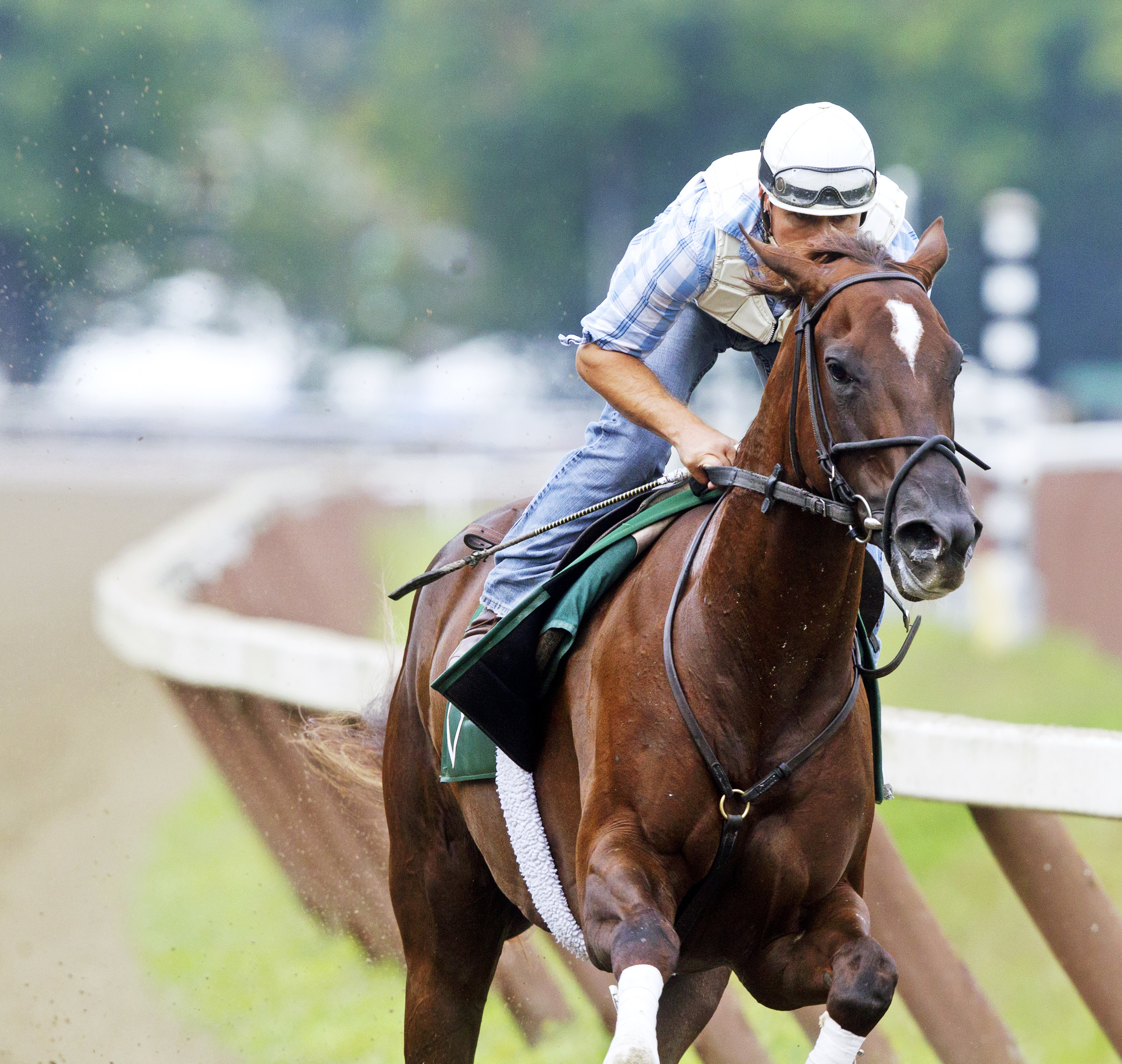 Size trains at Saratoga on July 12
