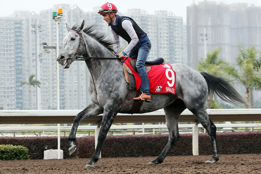 Skalleti trains at Sha Tin on Dec. 7