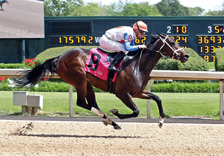 Skol Factor wins an April 11 maiden race at Oaklawn Park