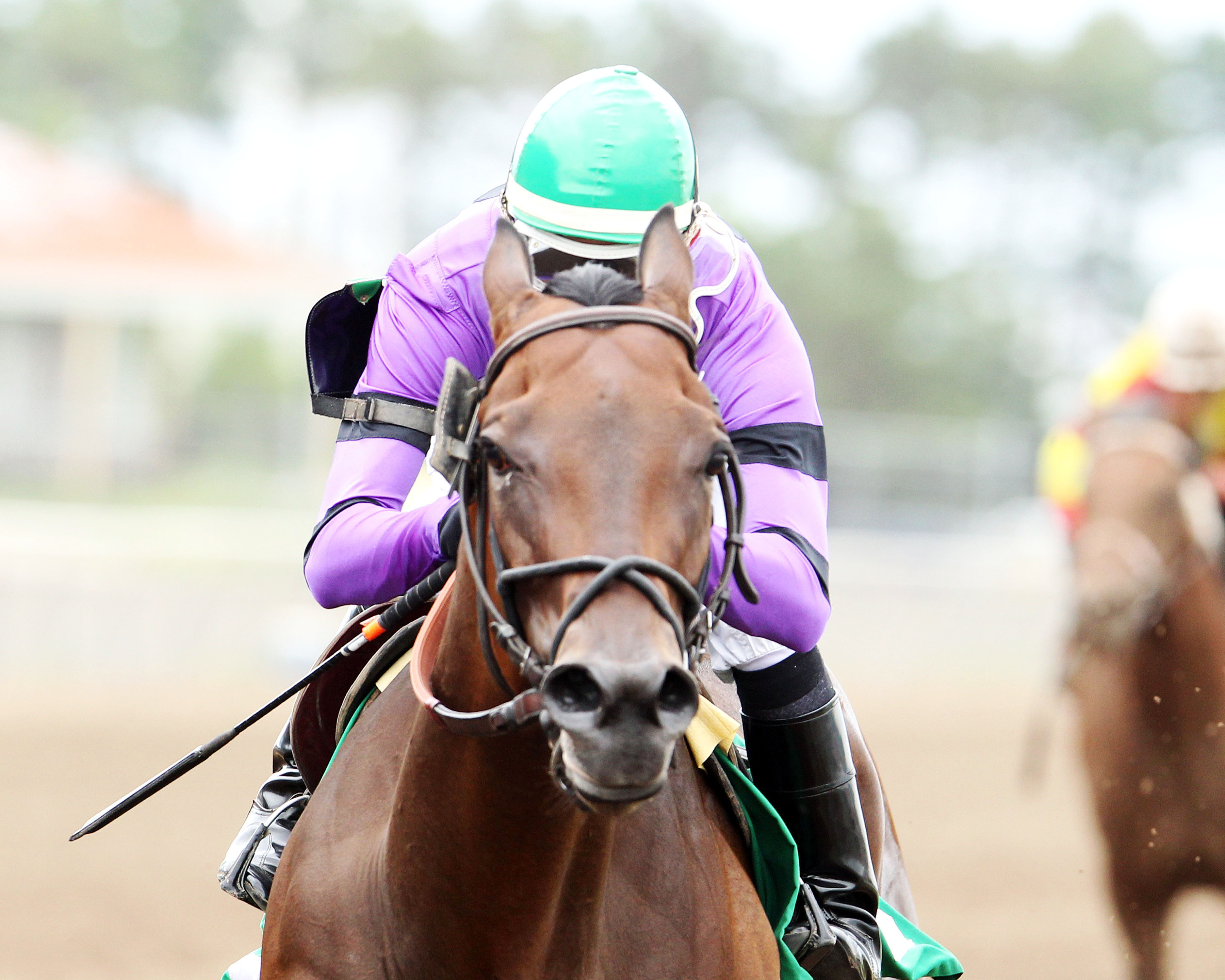 Sky and Sea wins the Frances Genter Stakes