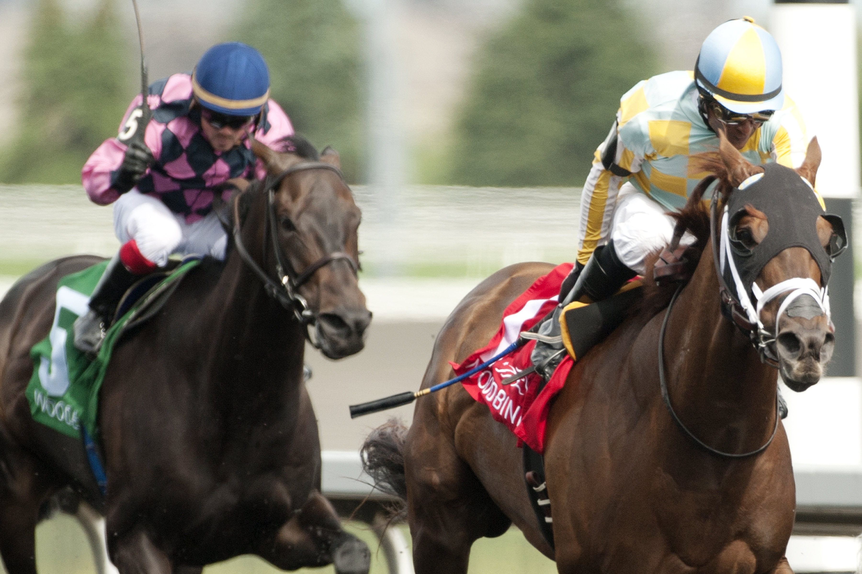 Sky Captain wins the 2014 Dominion Day Stakes