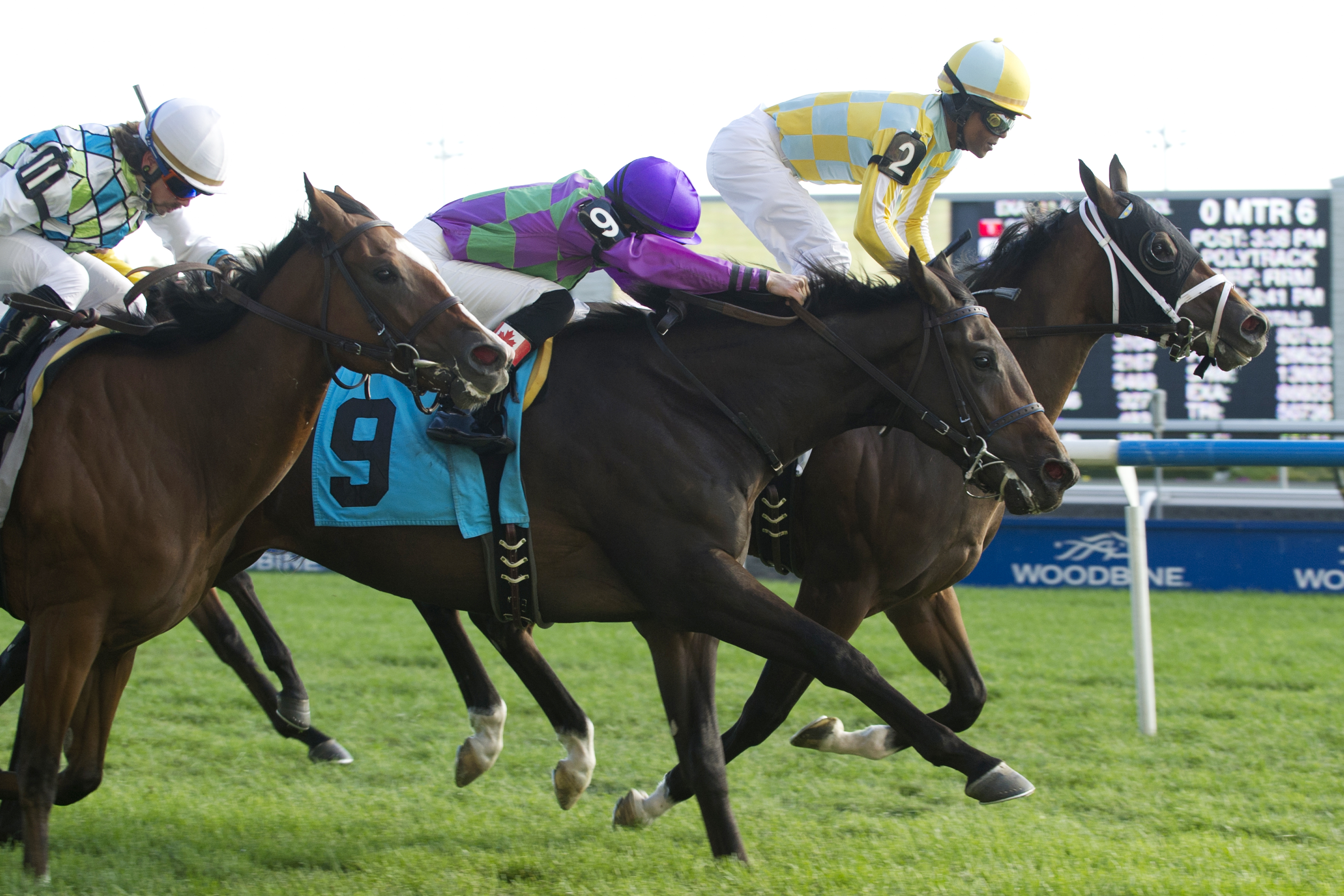 Sky Commander, maiden win