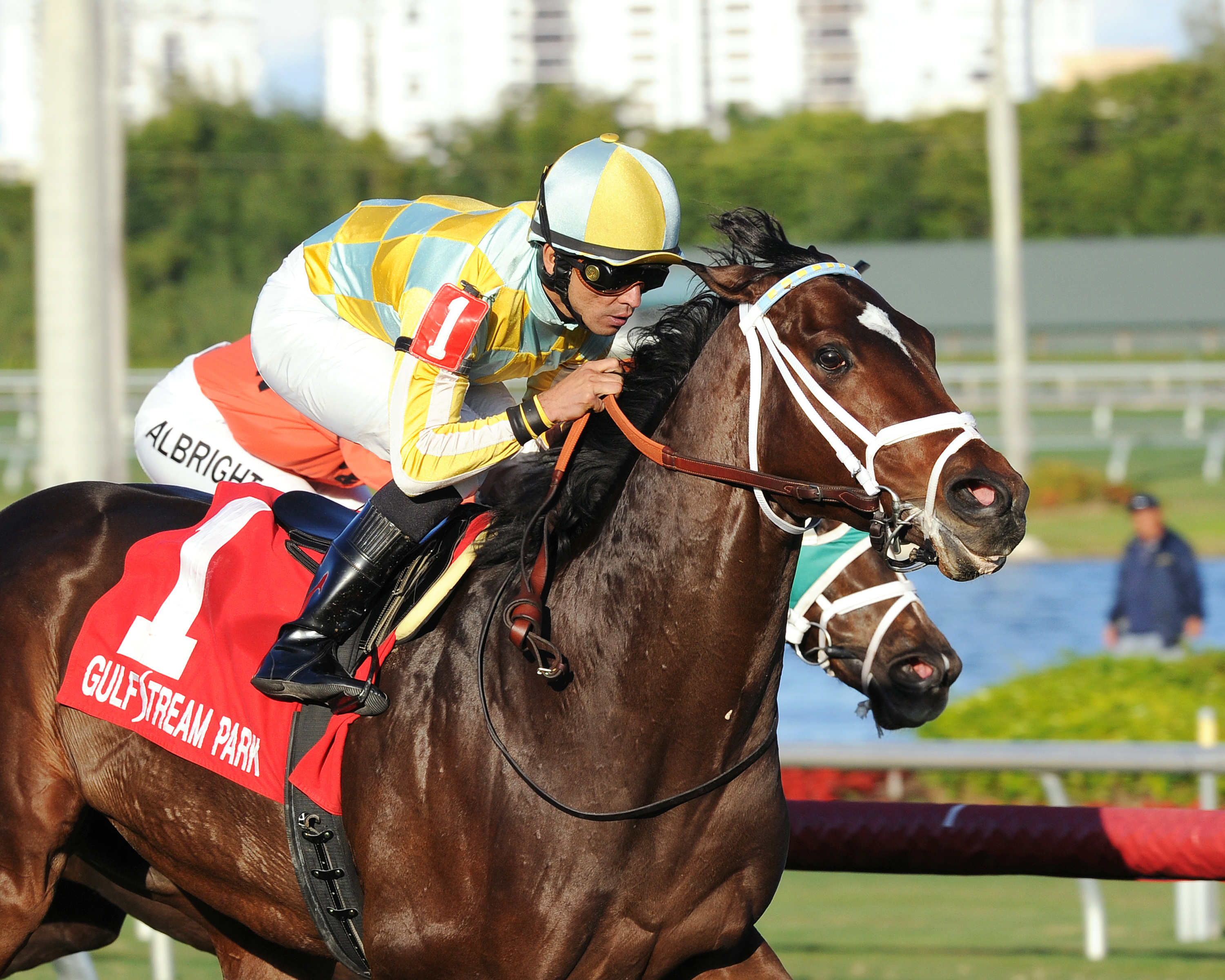 Sky Flight wins the Tropical Park Derby