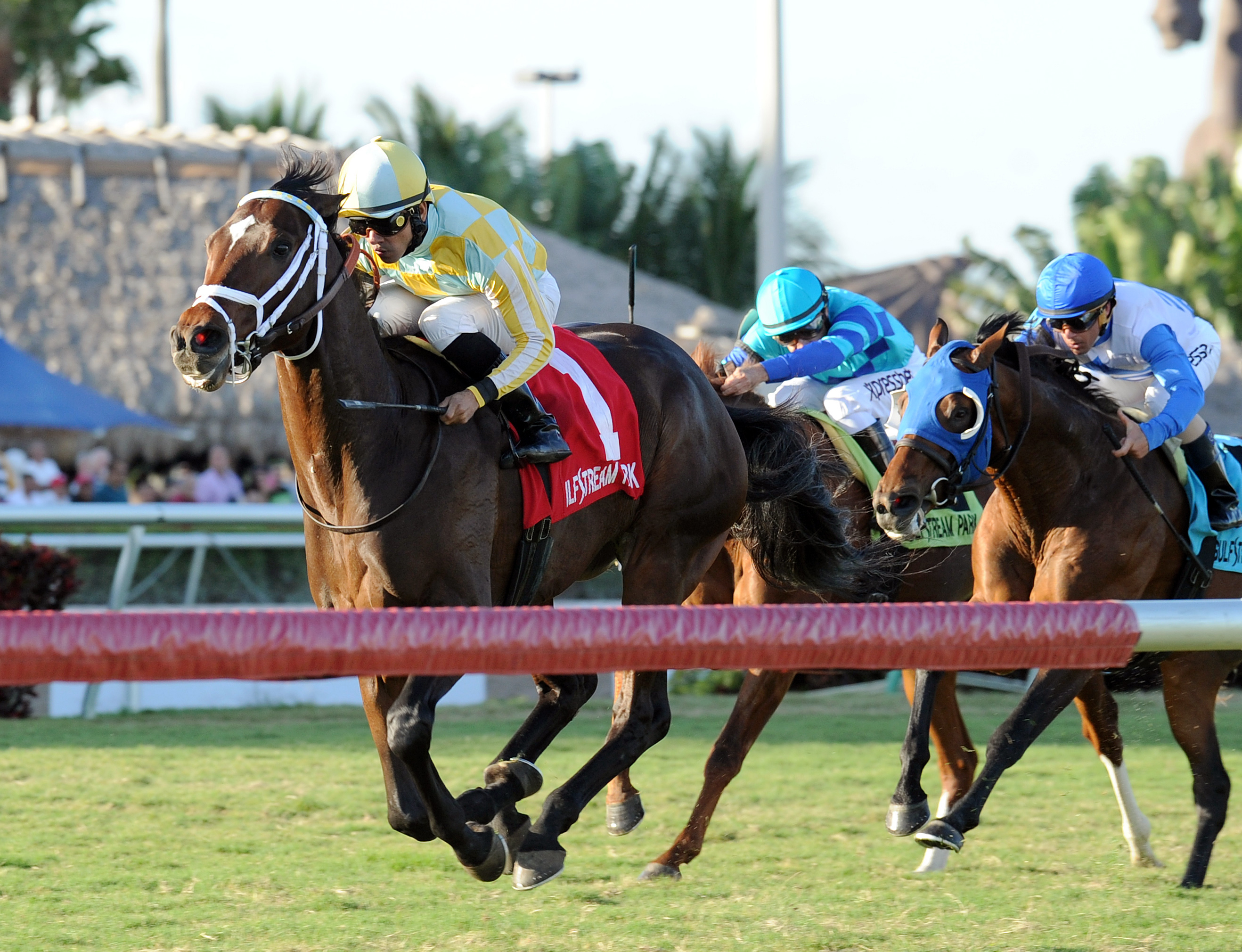 Sky Flight wins the Tropical Park Derby