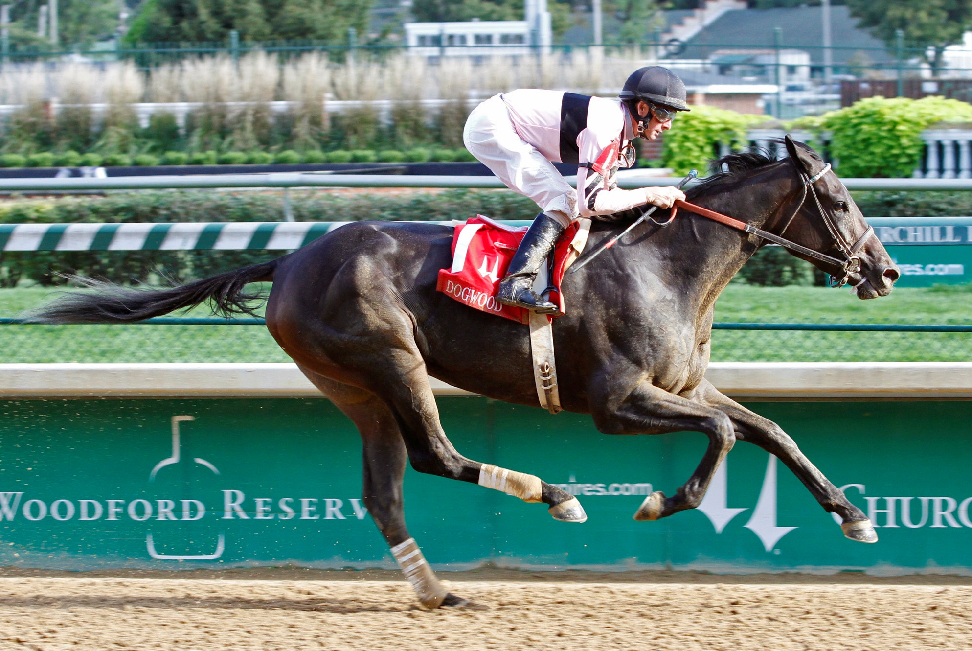 Sky Girl, Dogwood Stakes