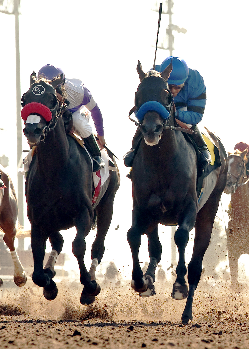 Handsome Mike finishes second in the American Flag