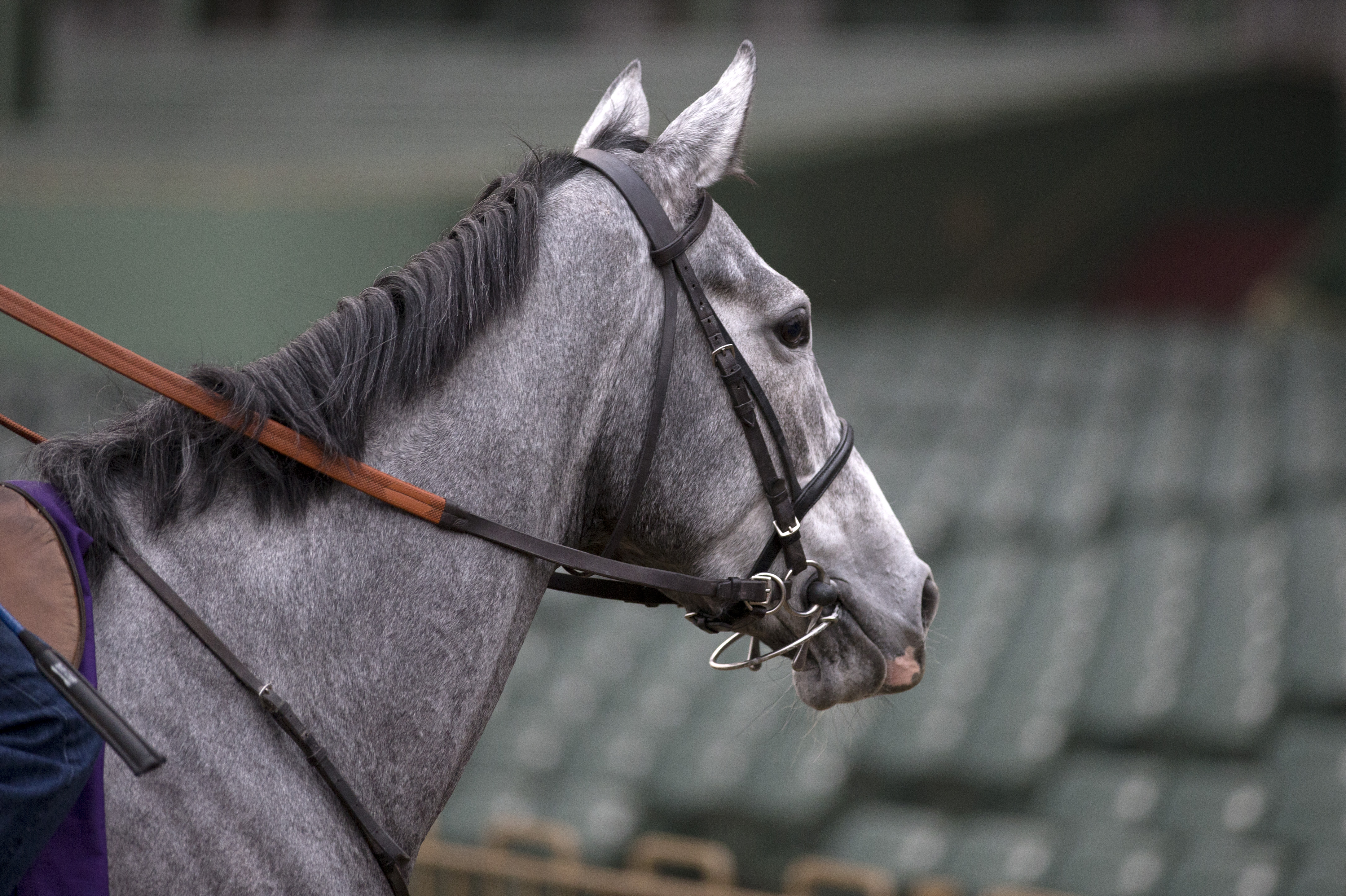 Royal Ascot: Sky Lantern, Just the Judge rematched in Coronation