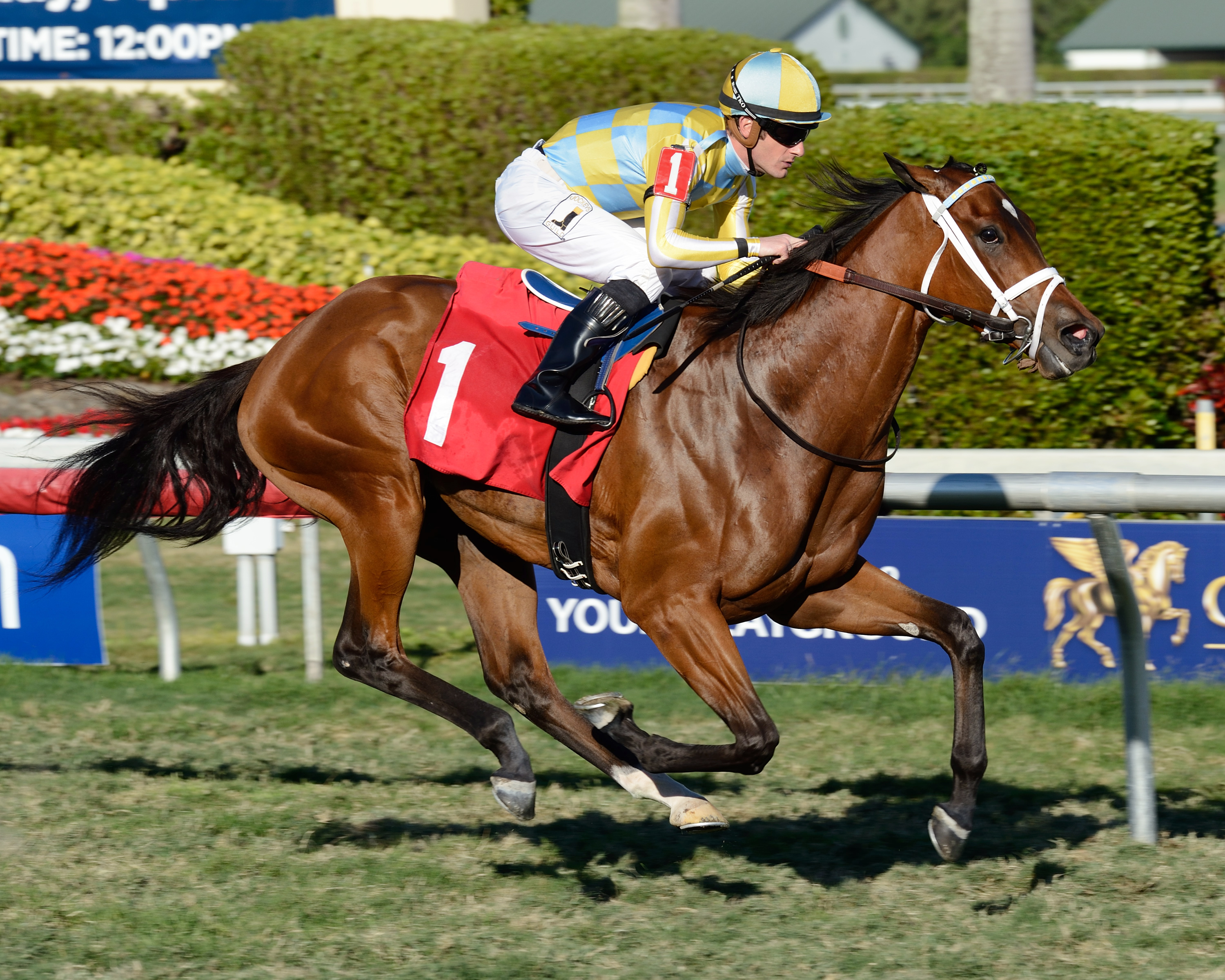 Sky My Sky wins a maiden race at Gulfstream