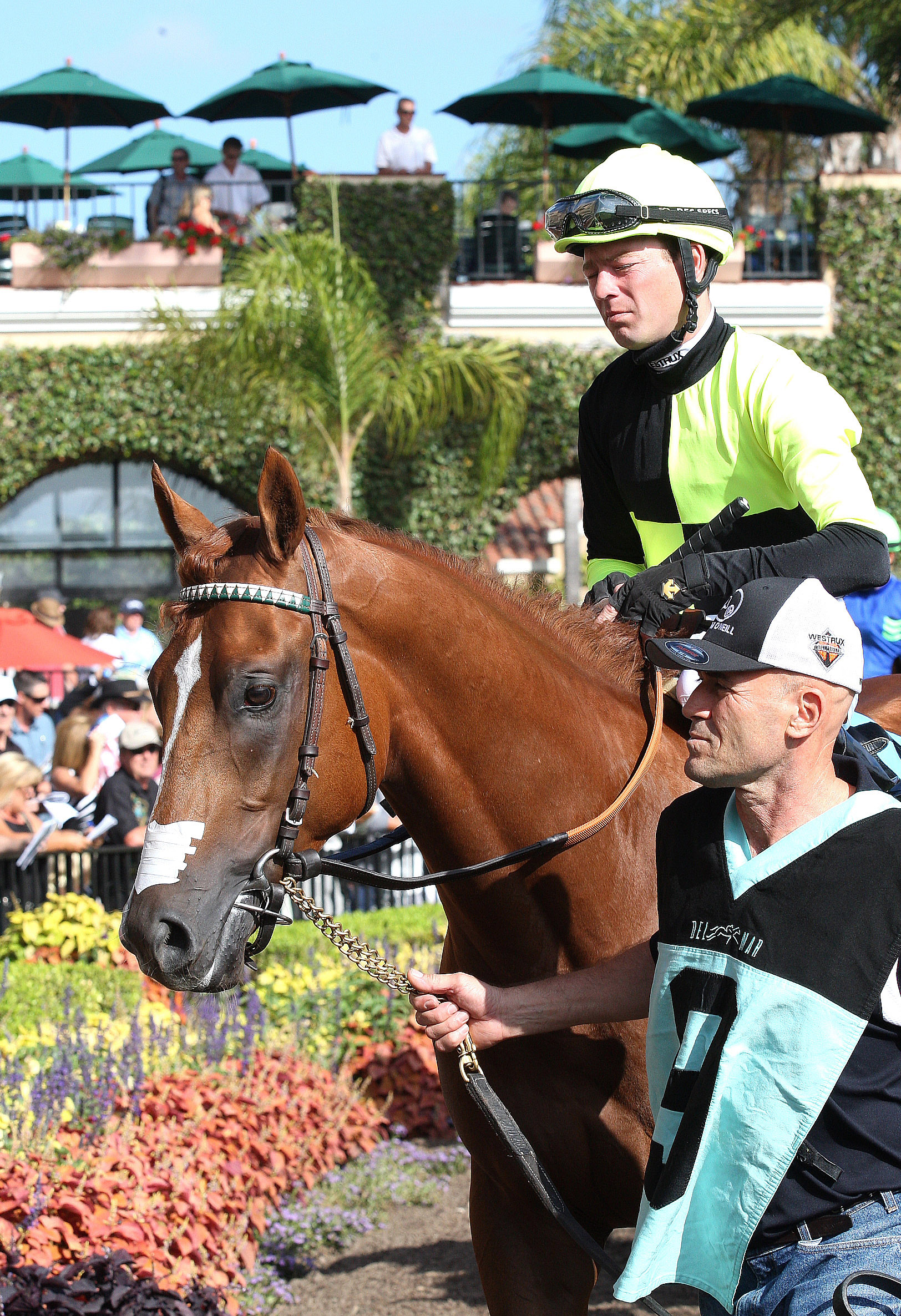 Sky Preacher, under Tyler Baze, at the 2014 Oak Tree Juvenile Turf Stakes