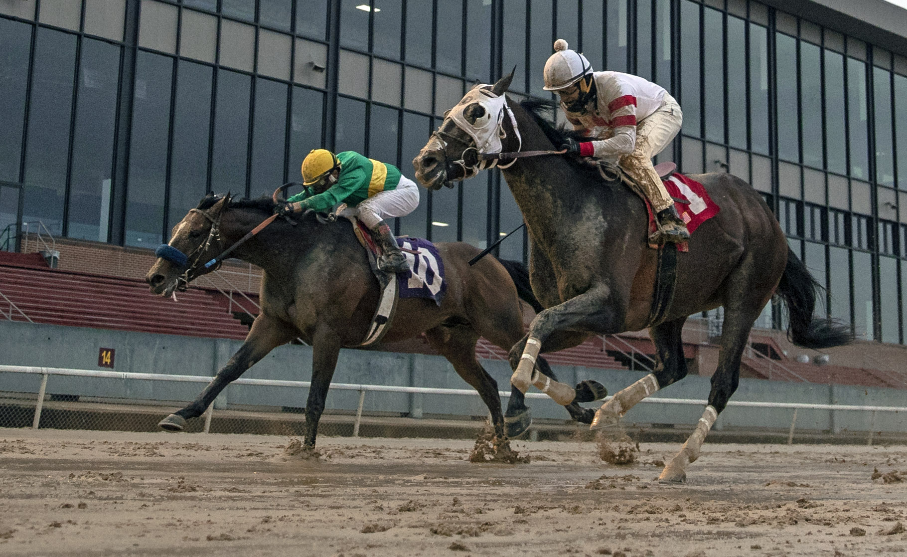 Sky Promise wins the Temperence Hill Stakes at Oaklawn Park on March 13, 2020