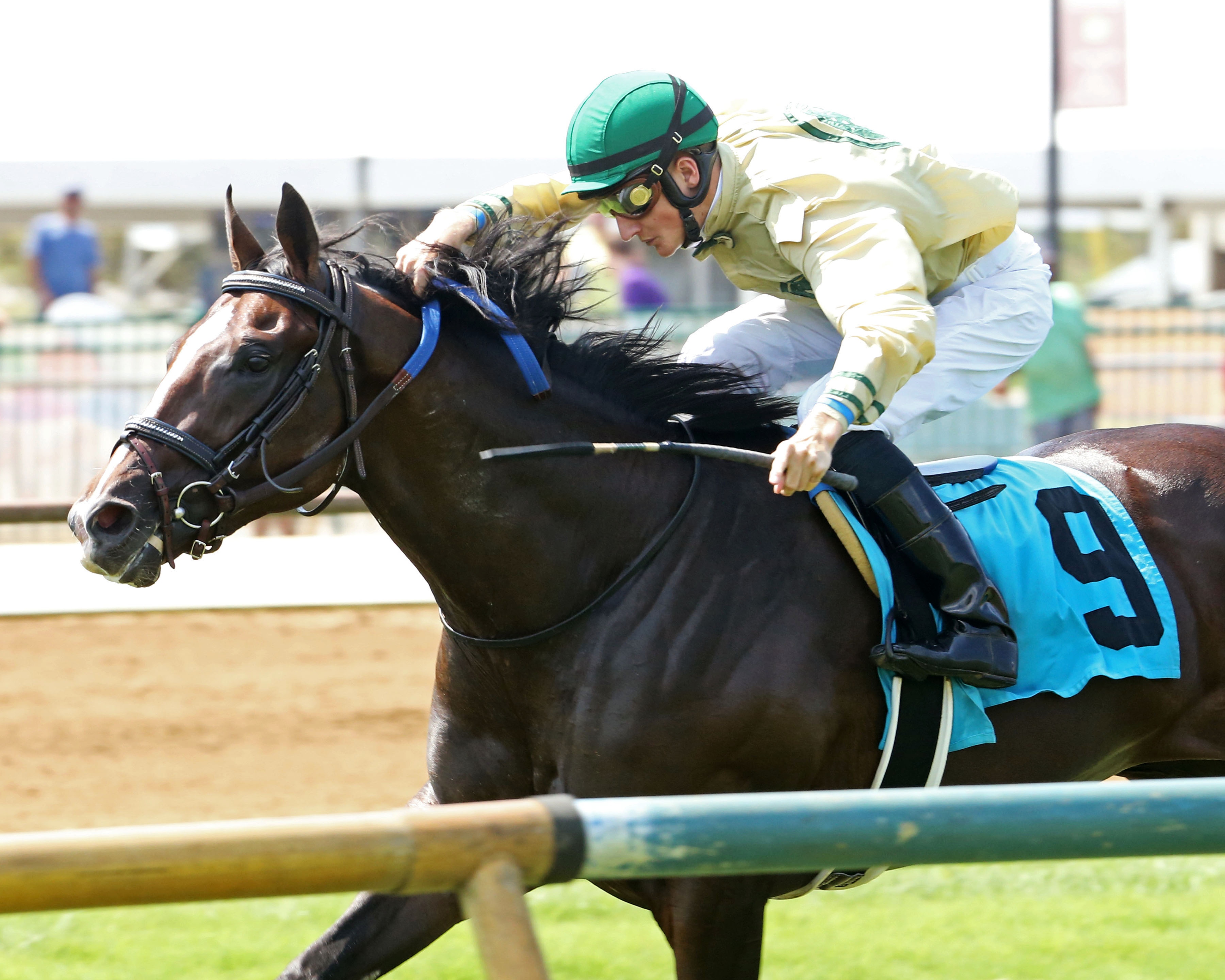 Sky Promise wins a July 22 maiden race