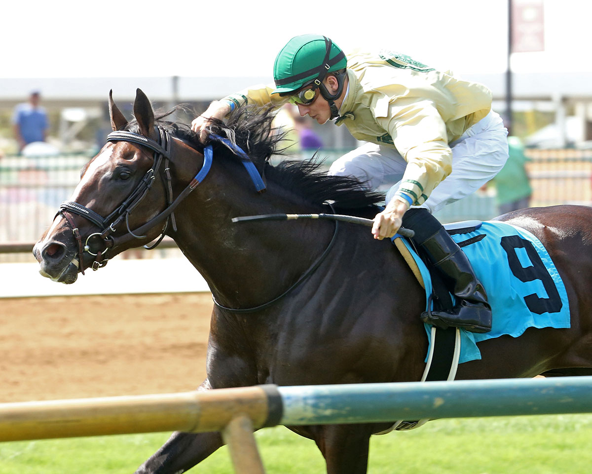Sky Promise wins a July 22, 2017 maiden race
