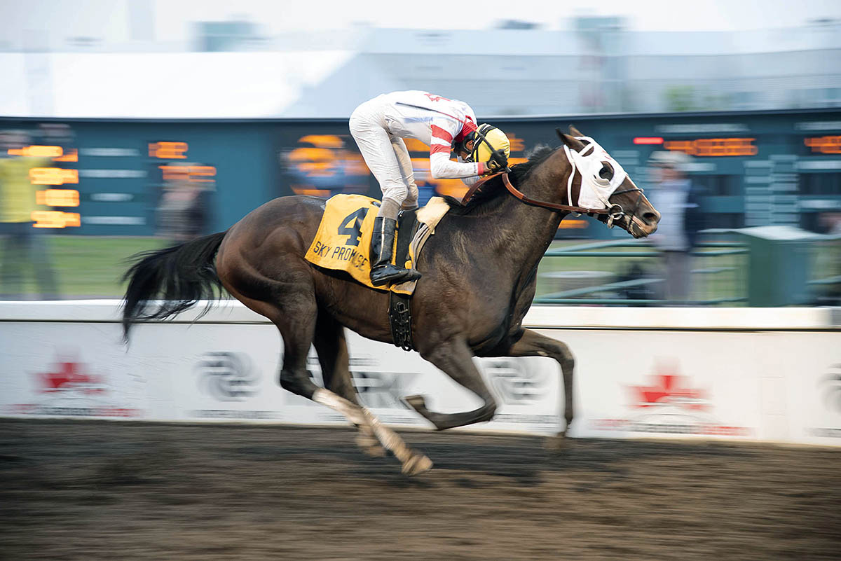 Sky Promise wins the 2018 Canadian Derby