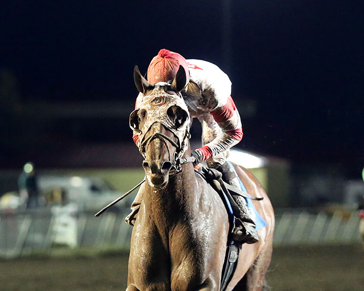 Sky Promise wins the 2019 John Bullit Stakes at Canterbury Park