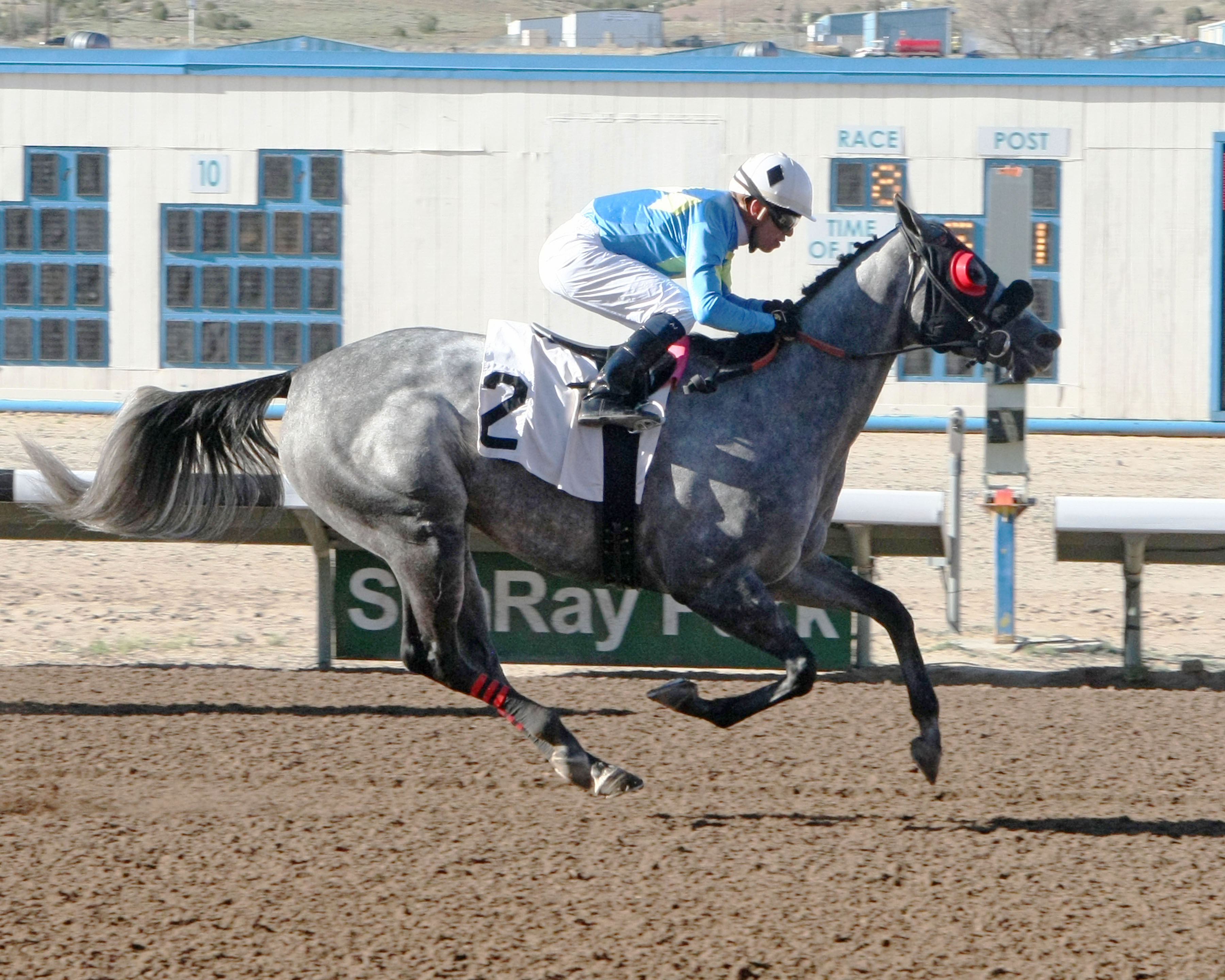 Sky Rant wins the Budweiser Handicap