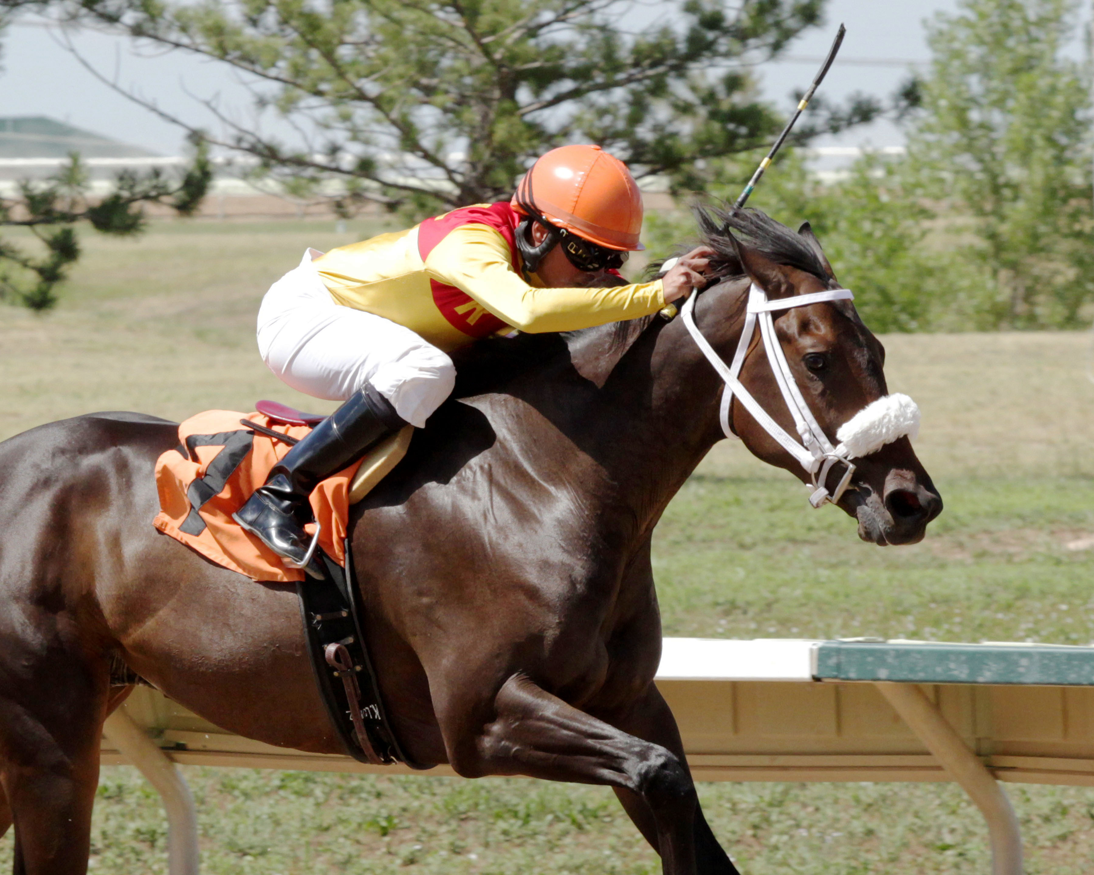 Sky T wins the CTBA Futurity