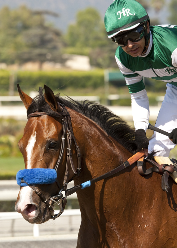 Sky High Gal 5-25-2014