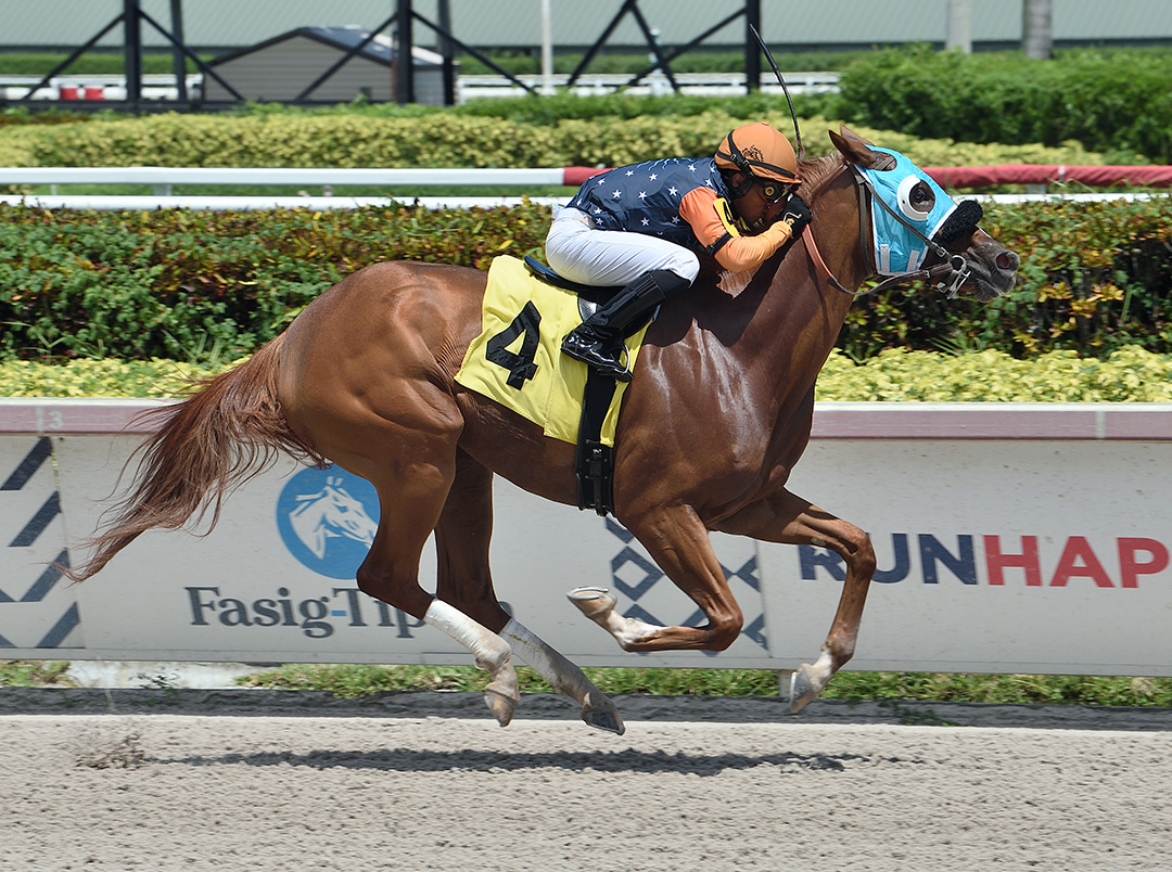 Sky Chaser wins an Aug. 15 allowance race at Gulfstream Park