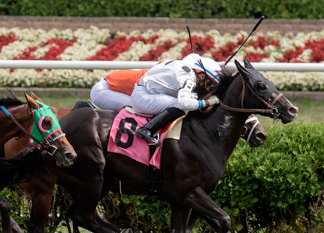 Sky Kitten wins an Aug. 16 claiming race at Saratoga Race Course