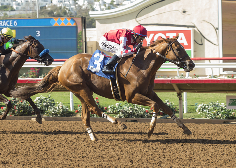 Skye Diamonds wins the 2017 Rancho Bernardo