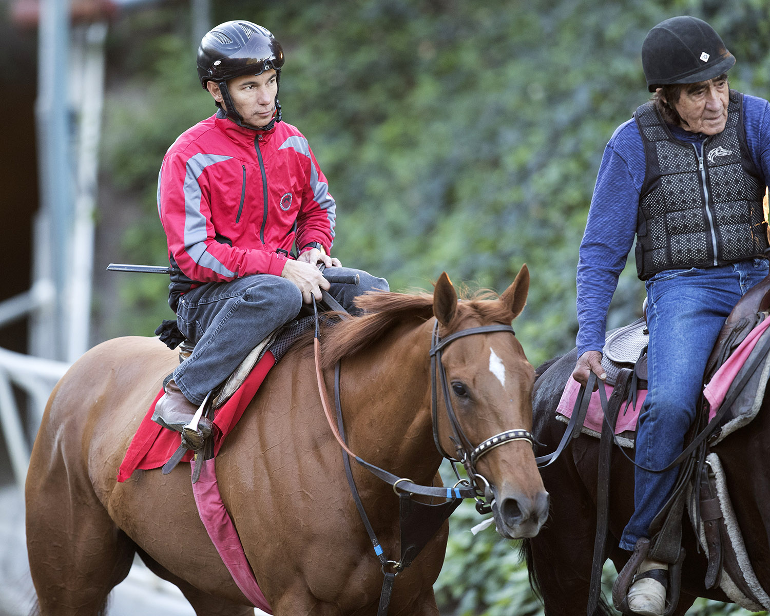 Skye Diamonds at Del Mar in October 2017