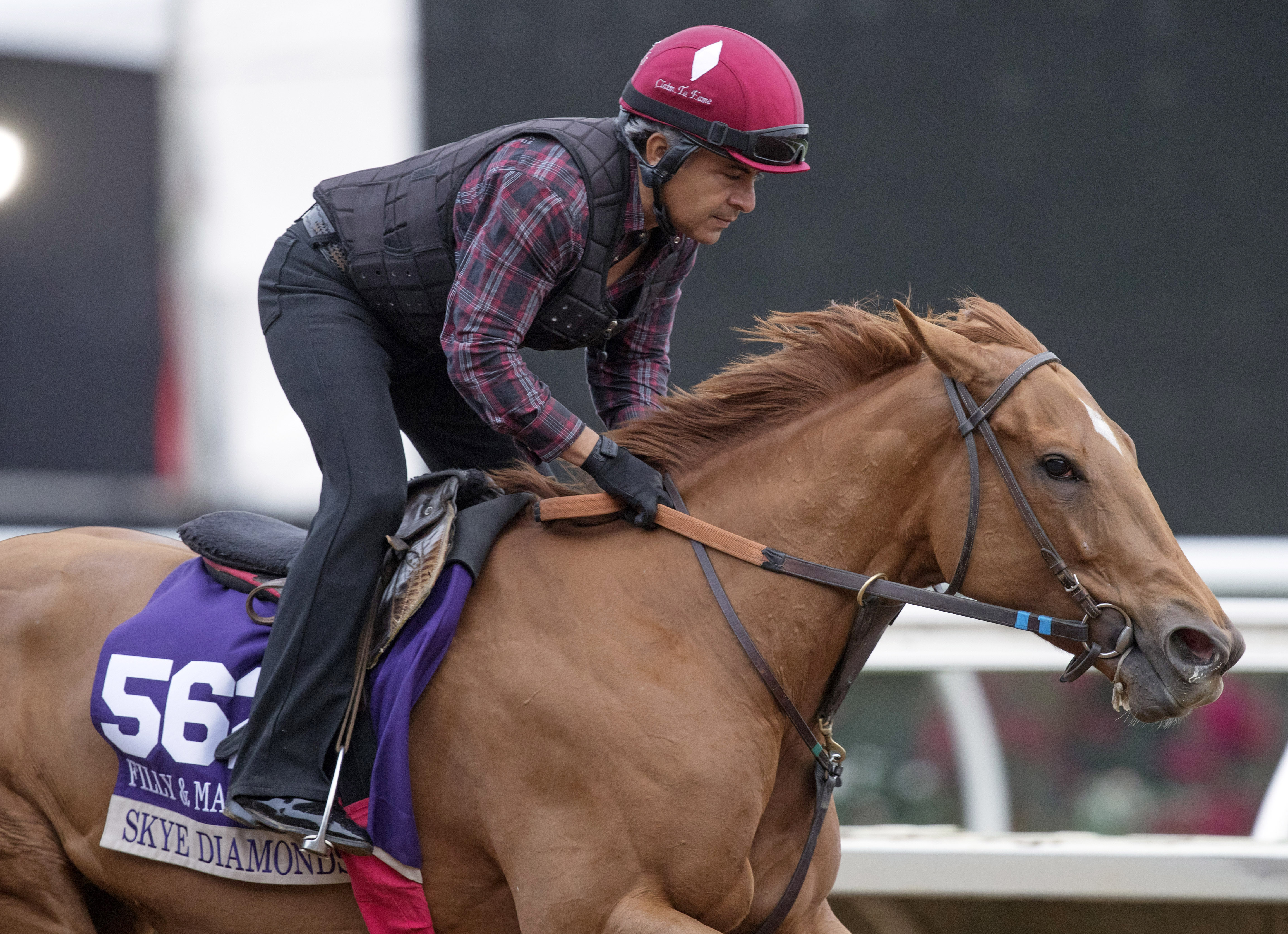 Skye Diamonds trains at Del Mar on Nov. 1
