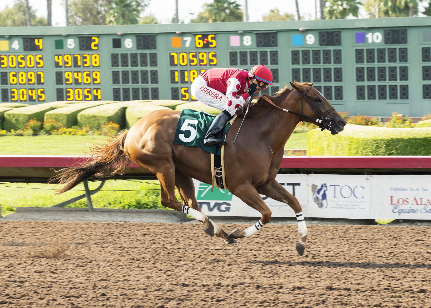 Skye Diamonds wins the 2017 Great Lady M Stakes