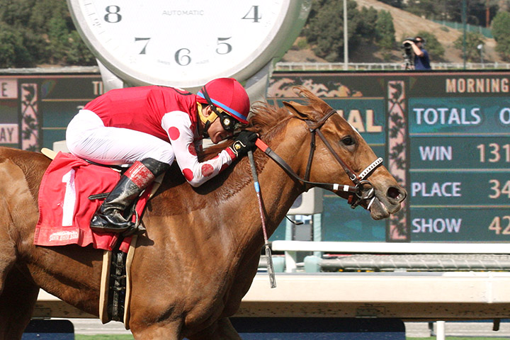 Skye Diamonds wins the 2018 L. A. Woman