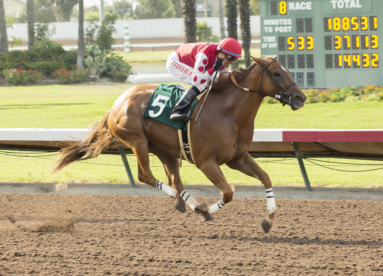 Skye Diamonds wins the 2017 Great Lady M
