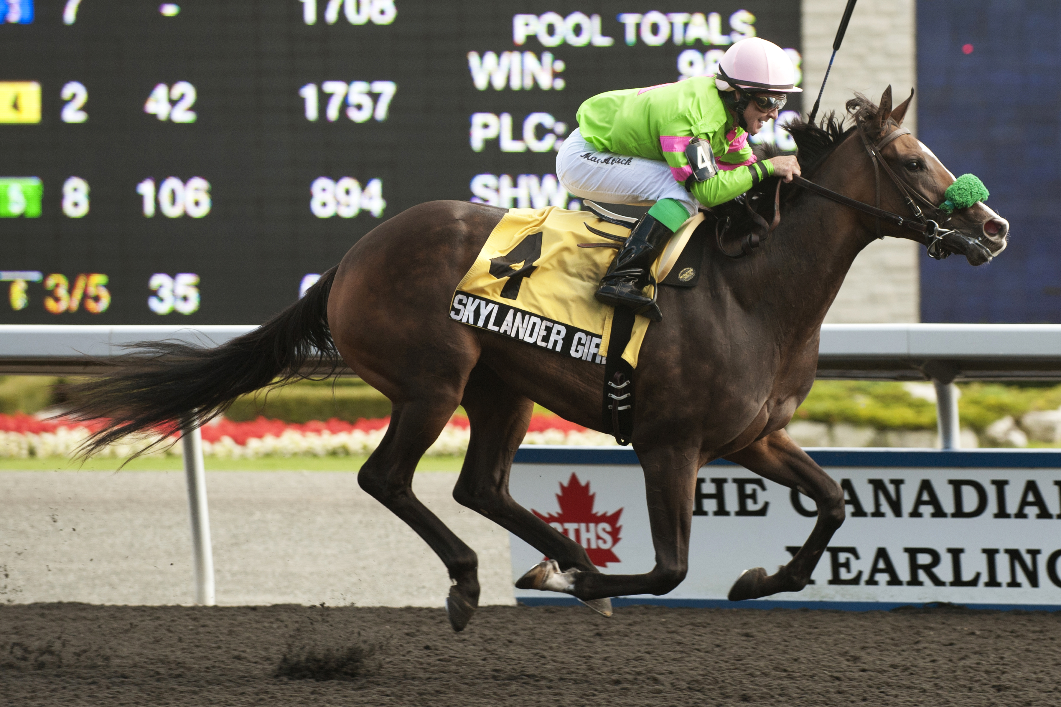 Skylander Girl wins the 2013 Ontario Debutante