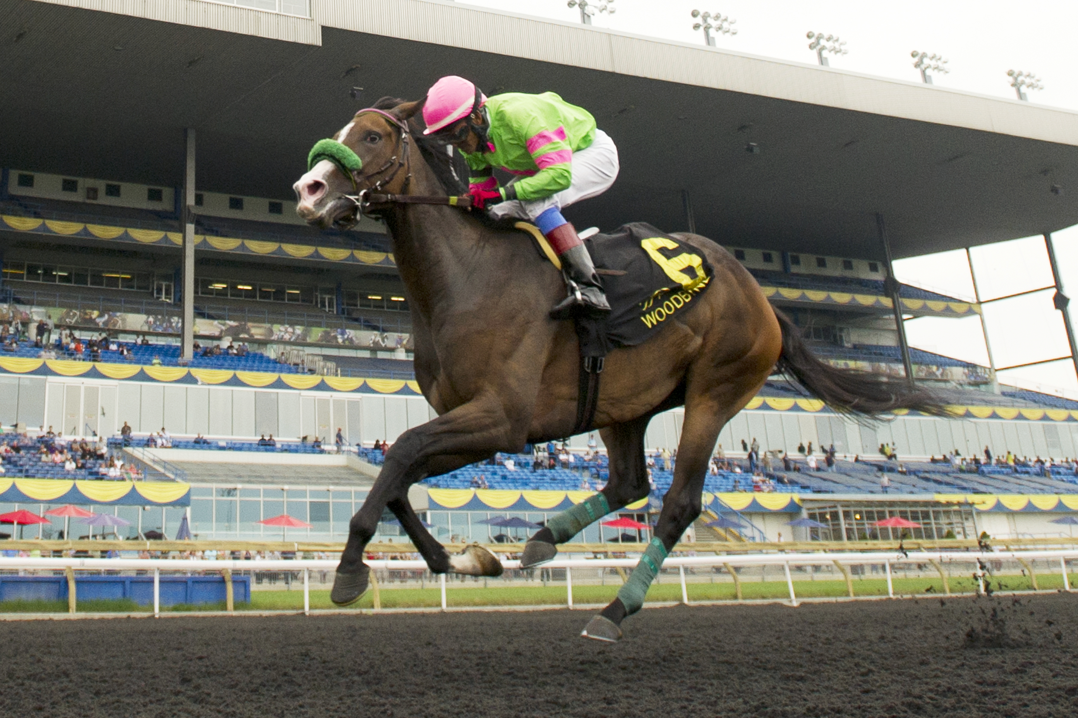 Skylander Girl wins the 2015 Hendrie Stakes