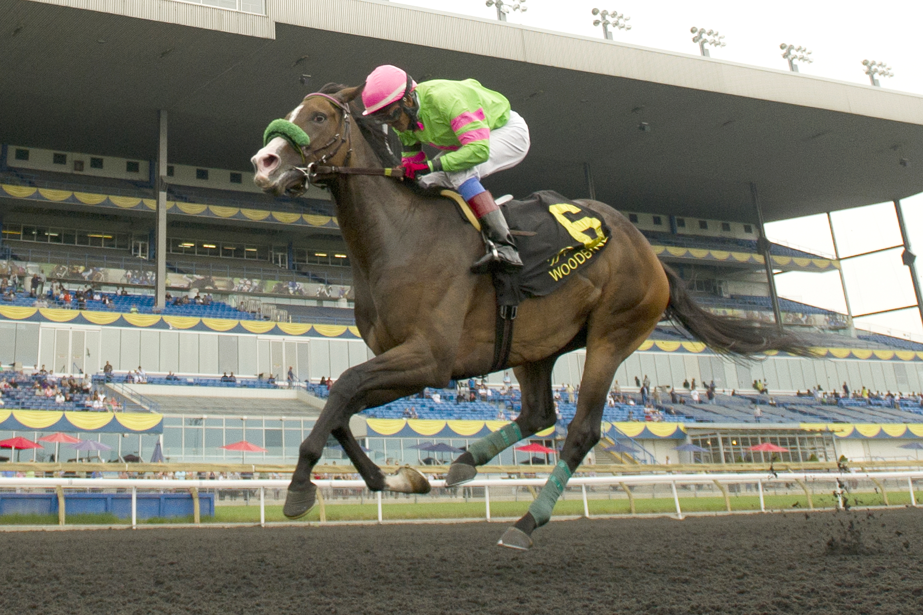 Skylander Girl wins the Hendrie Stakes