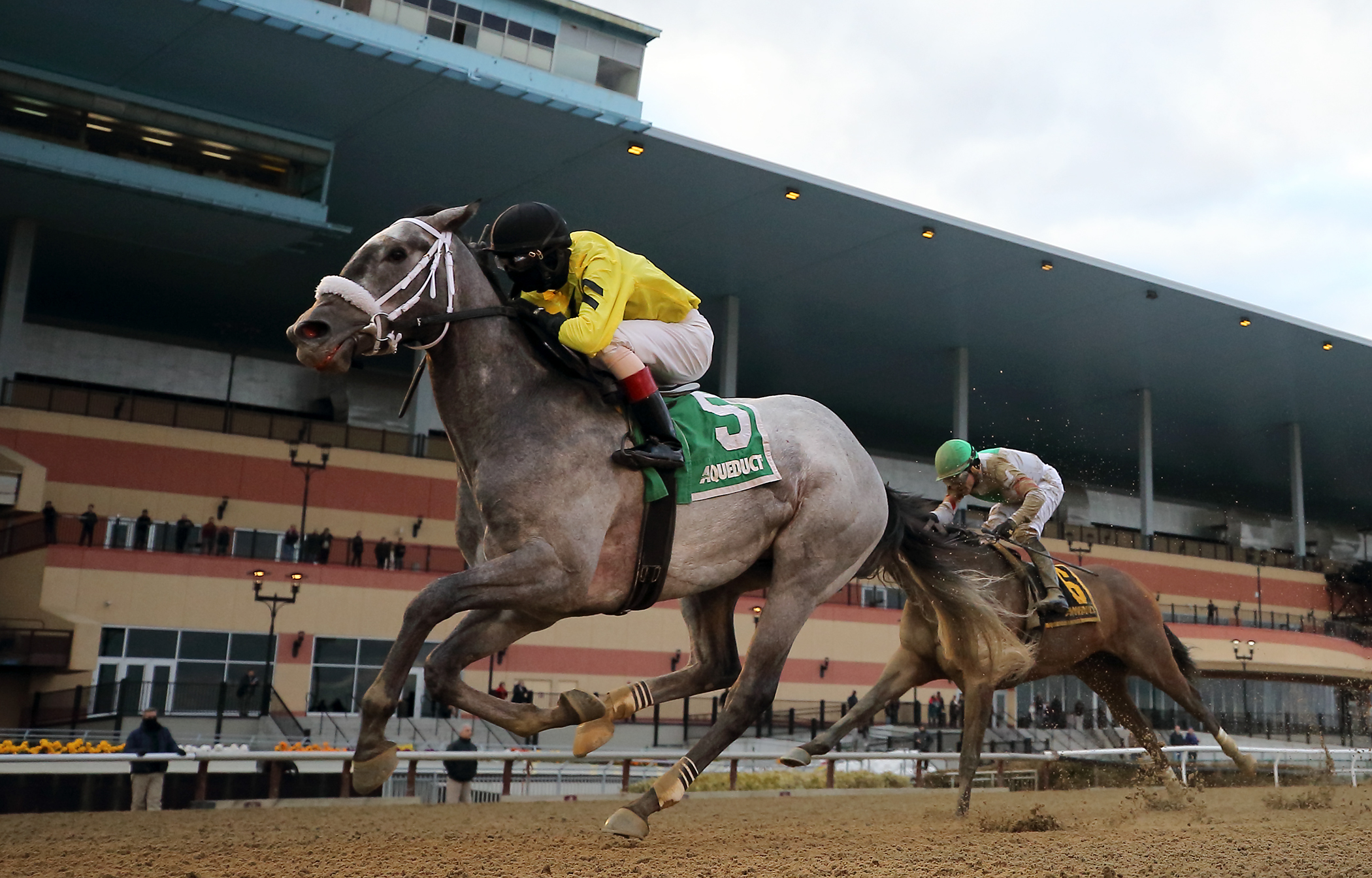 Skyler's Scramjet wins 2018 Tom Fool