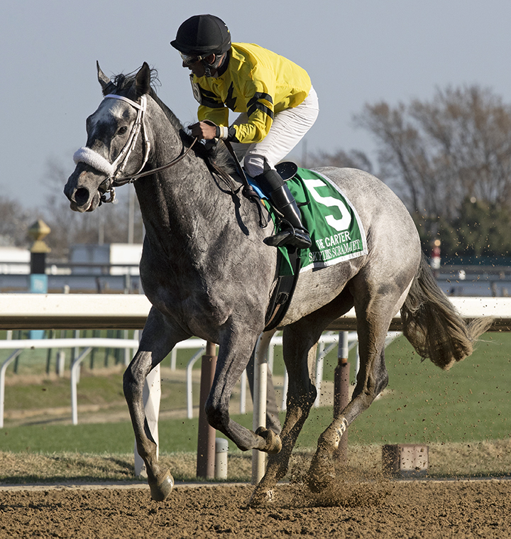 Skyler's Scramjet finishes second in the Carter Handicap at Aqueduct Racetrack