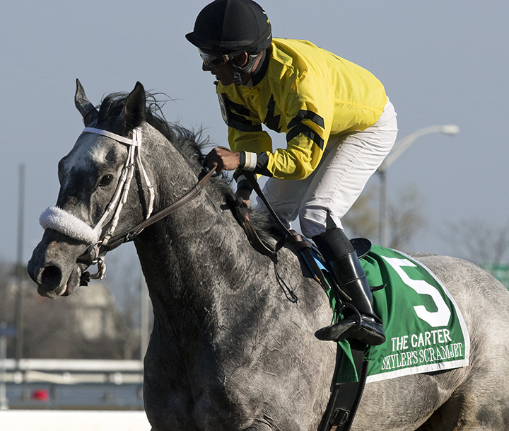 Skyler-s Scramjet at the Carter Handicap