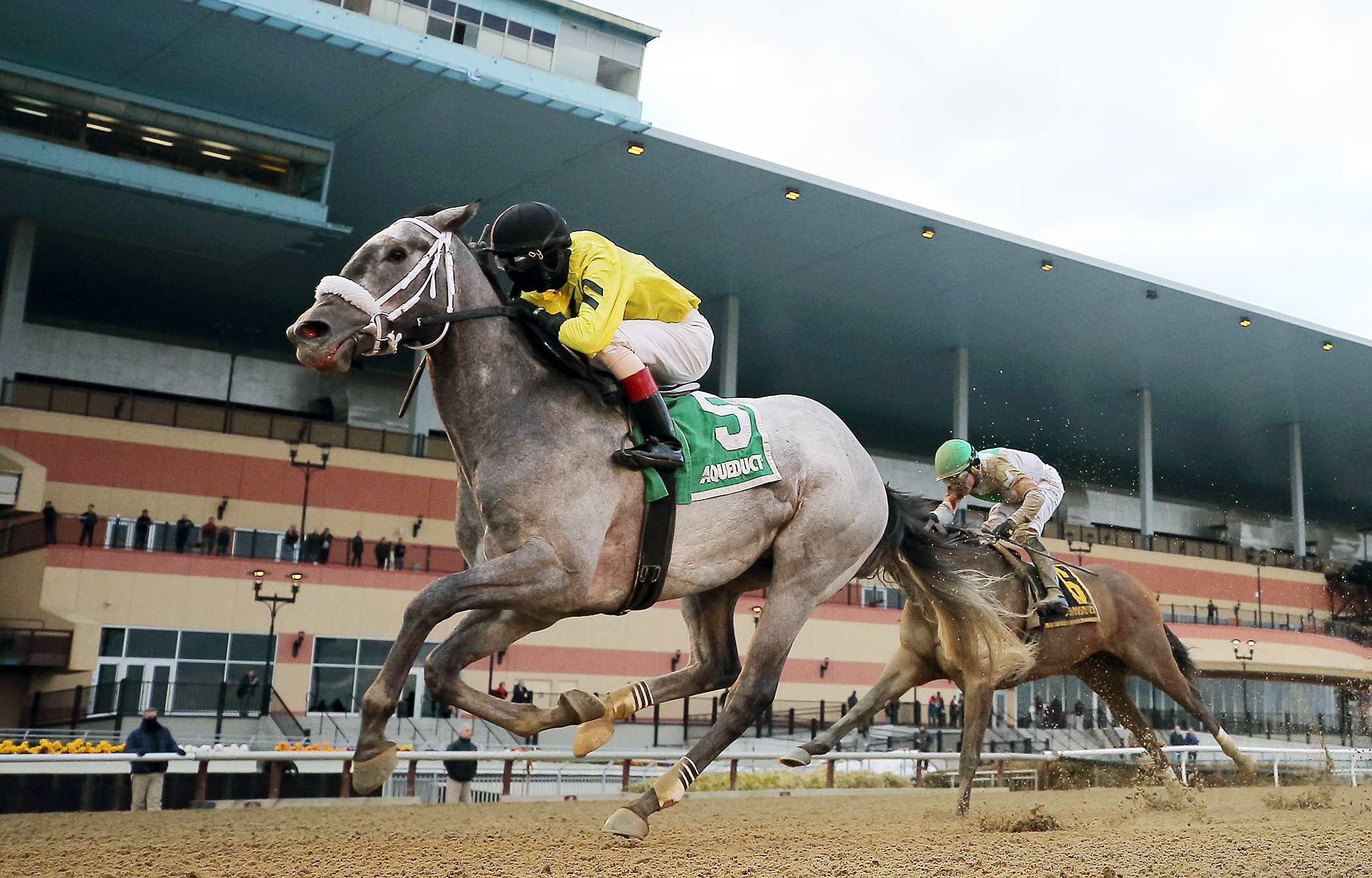 Skyler-s Scramjet wins the 2018 Tom Fool