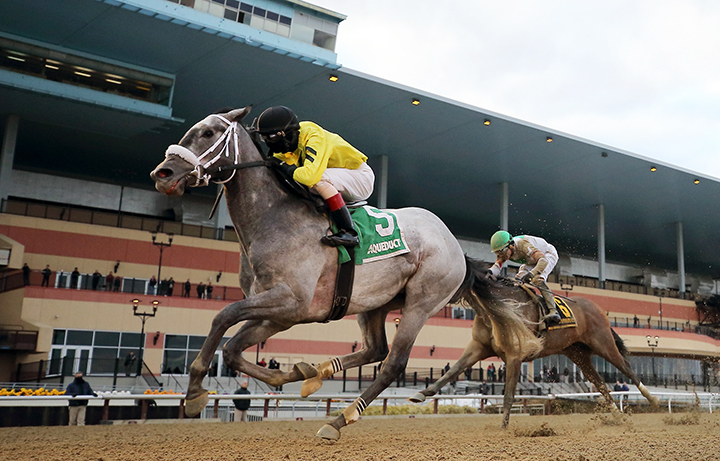 Skyler-s Scramjet wins the 2018 Tom Fool Handicap
