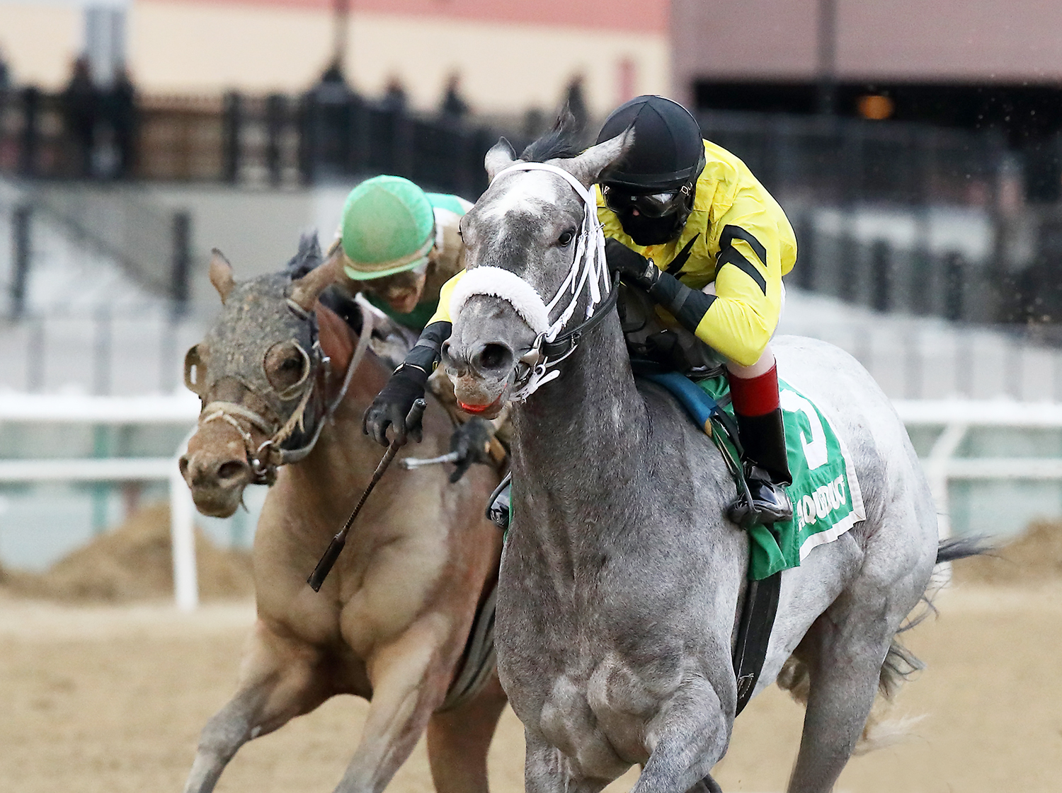 Skyler-s Scramjet wins the 2018 Tom Fool
