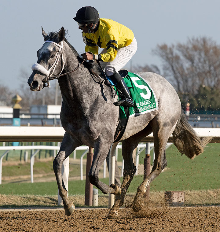 Skyler's Scramjet finishes second in the Carter Handicap at Aqueduct Racetrack