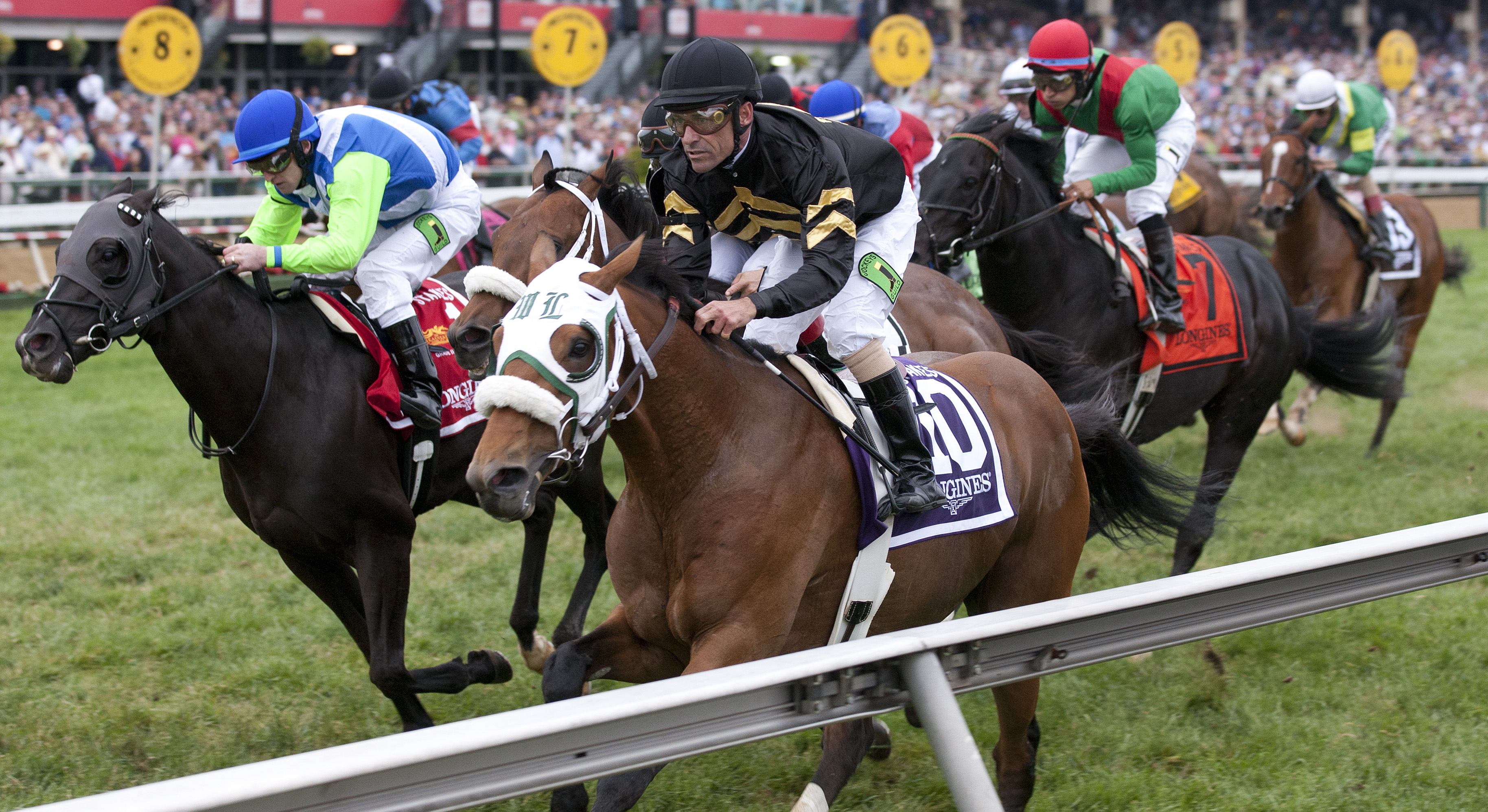 DRF Breeding Weekend Wrap Skyring Sage Valley star on Preakness