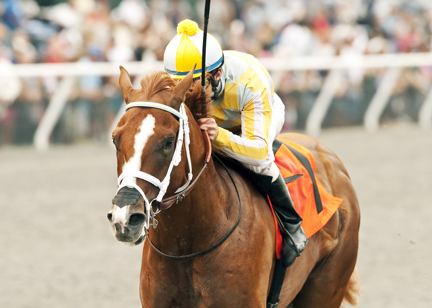 Skyway wins the Best Pal Stakes