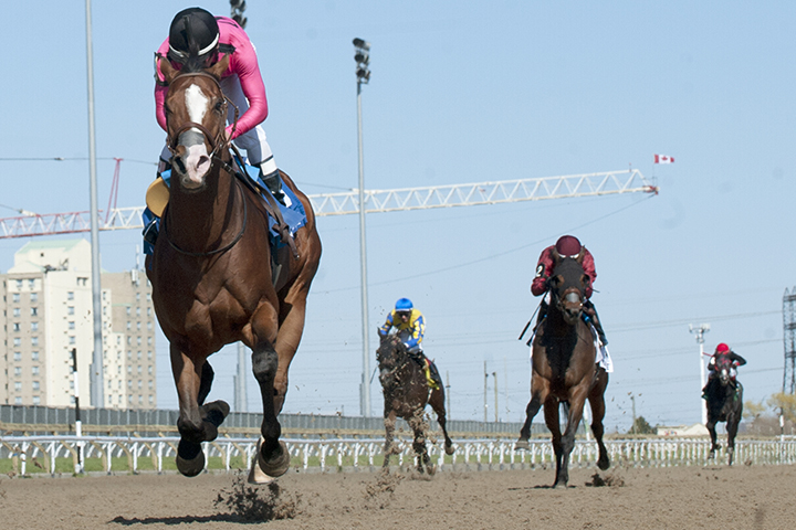 Skywire wins the 2019 Wando Stakes
