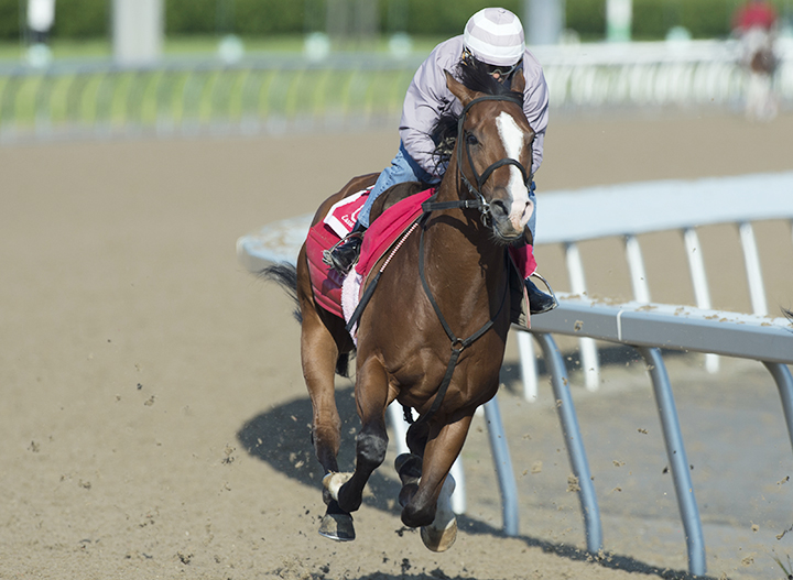 Skywire trains at Woodbine on June 19