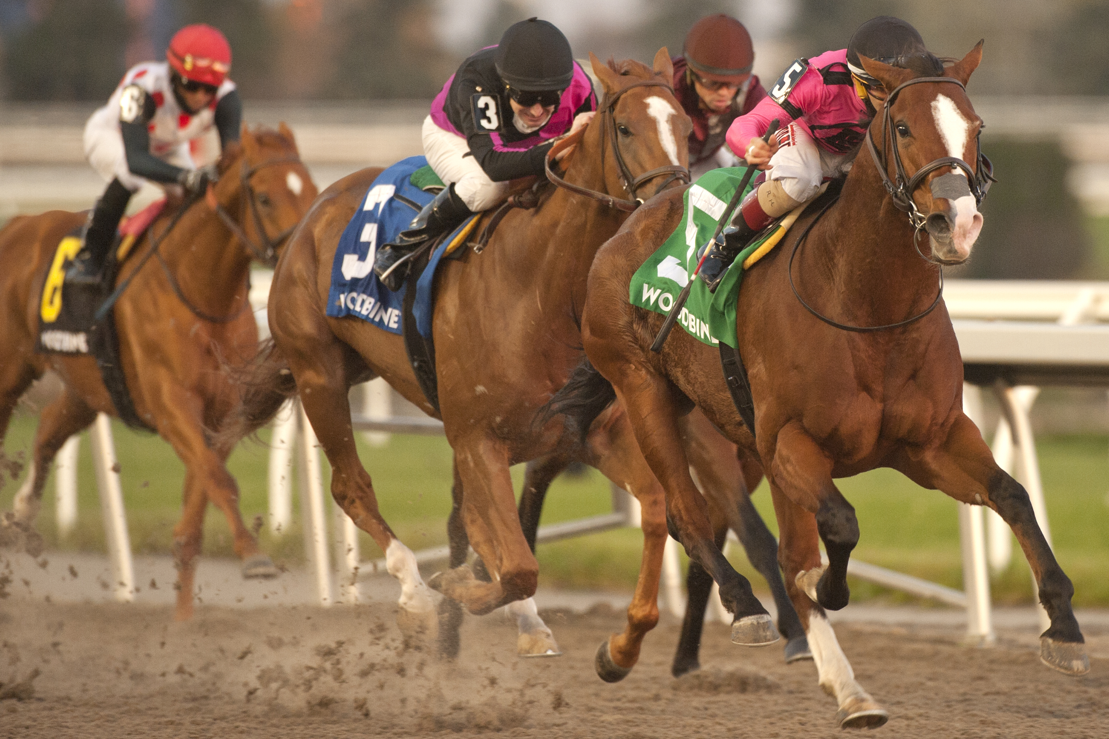 Skywire wins the Autumn Stakes at Woodbine on Nov 7 2020