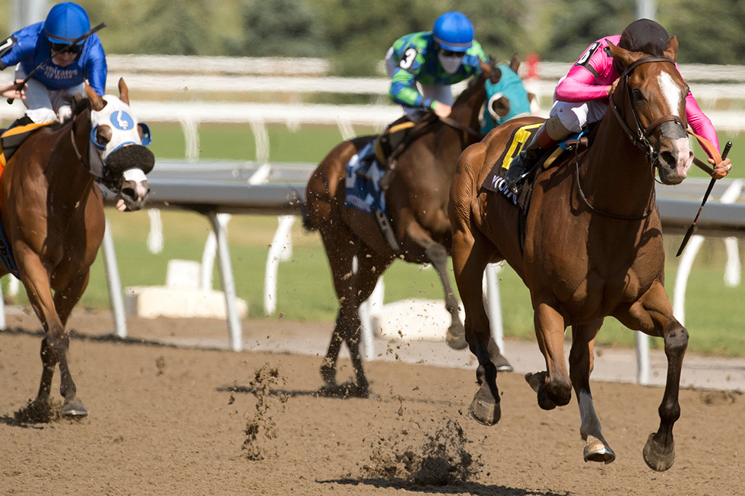 Skywire wins the 2020 Eclipse Stakes at Woodbine