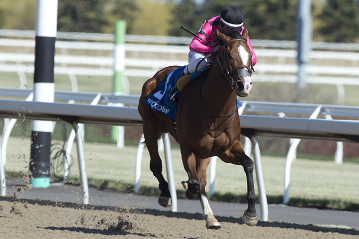 Skywire wins the 2019 Wando Stakes