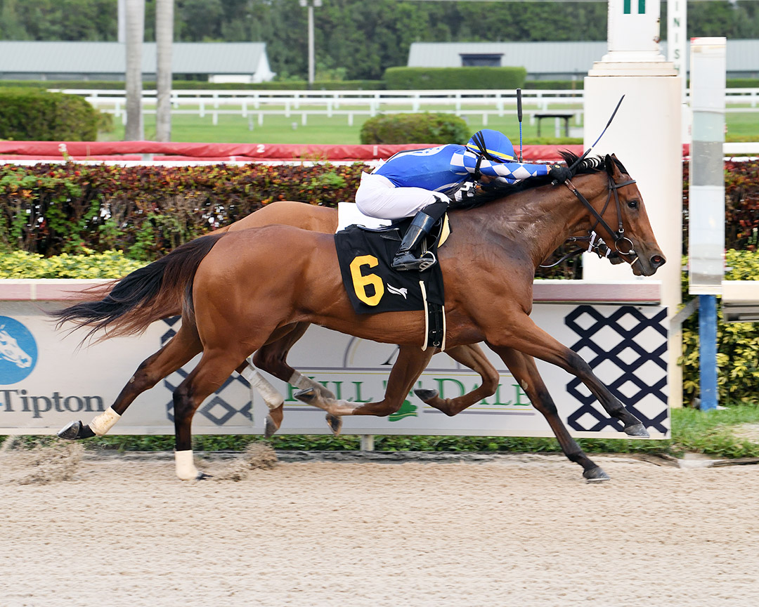Slam Dunk wins a Feb. 21 allowance at Gulfstream Park