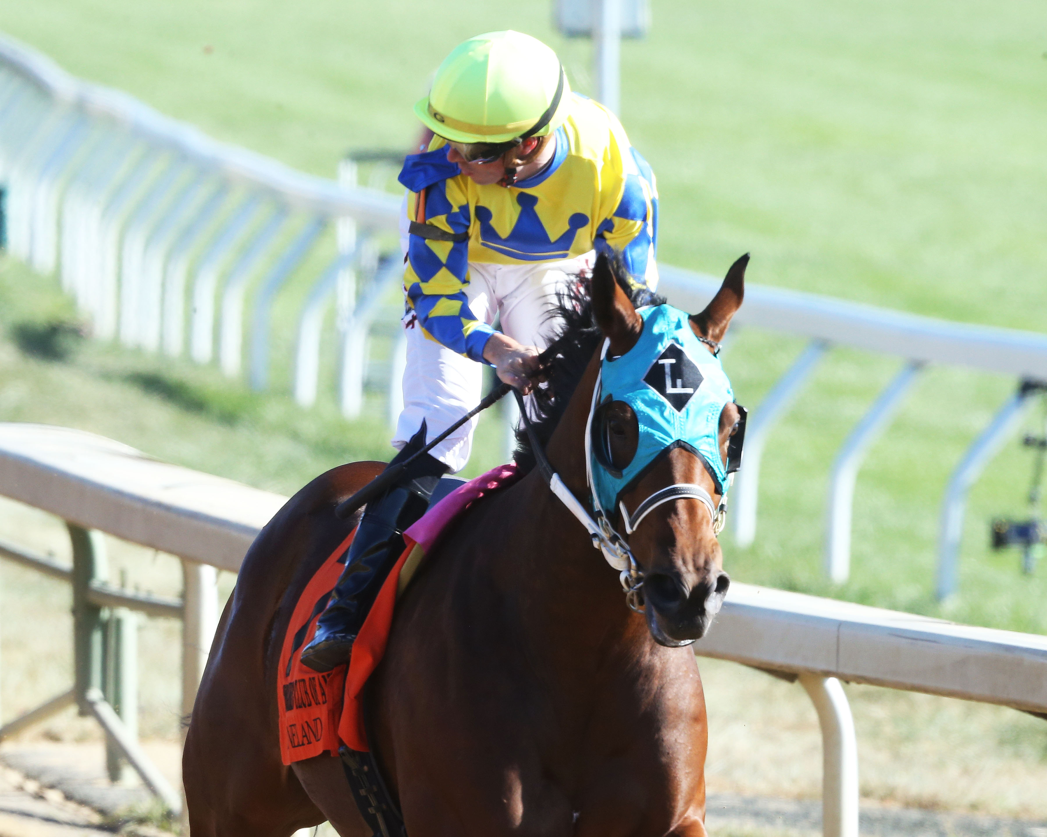 Slammed - TCA Stakes 2022