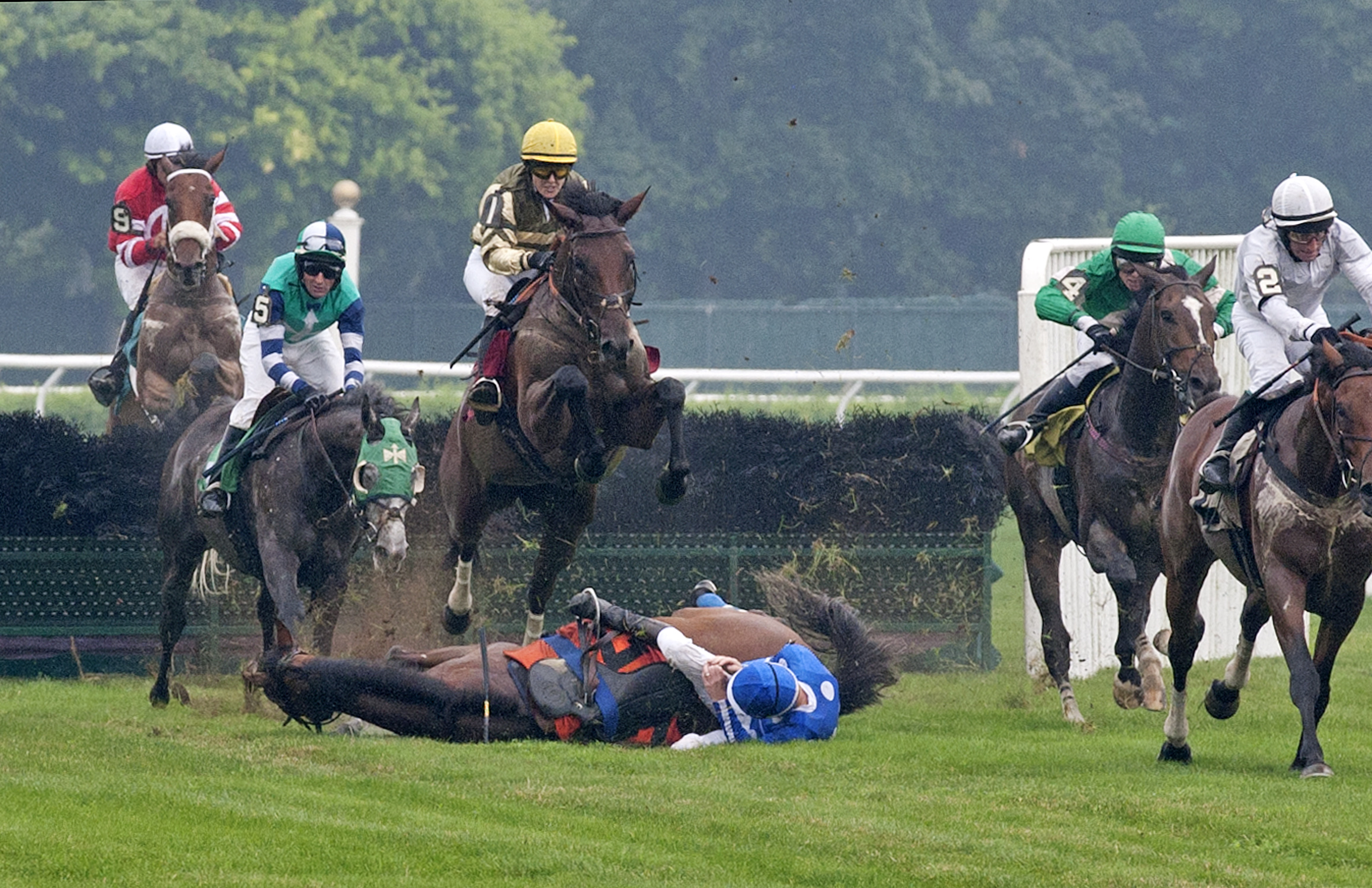 Slaney Rock falls in steeplechase